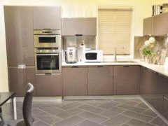 cabinet door