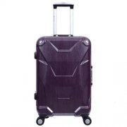 Luggage pole